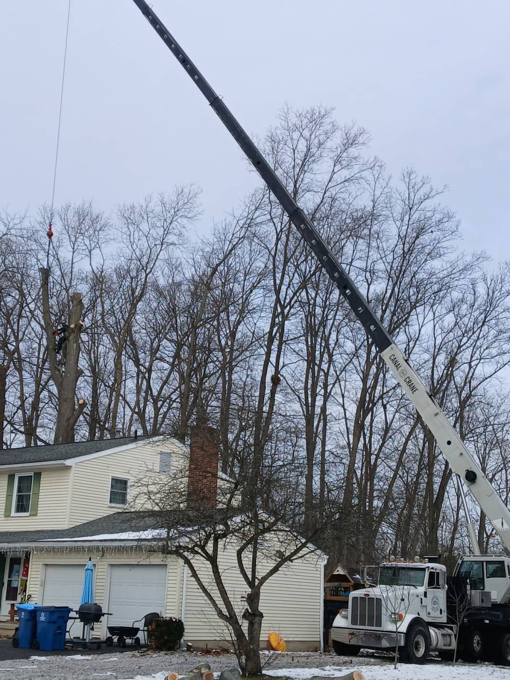 Crane-assisted tree removal